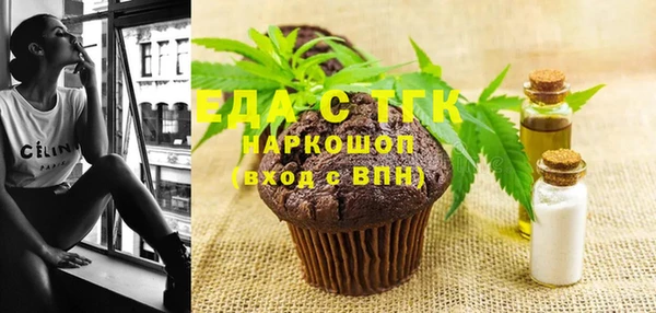 индика Алексин
