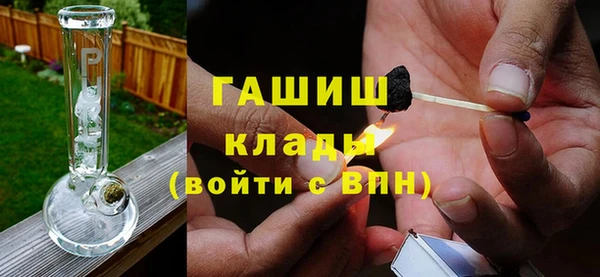 прущие грибы Сатка